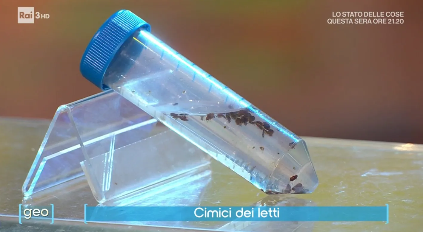 Dietro le quinte della diretta GEO 6